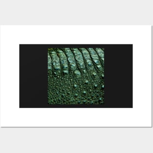Green Alligator Skin Posters and Art